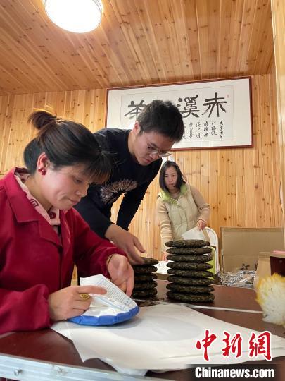 資料圖：杜贏(左二)在整理白茶餅?！×执阂?攝